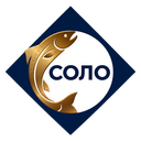 Соло